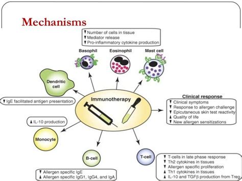 Immunotherapy in Asthma book cover