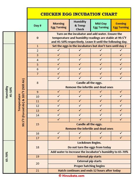Incubating Eggs Chart