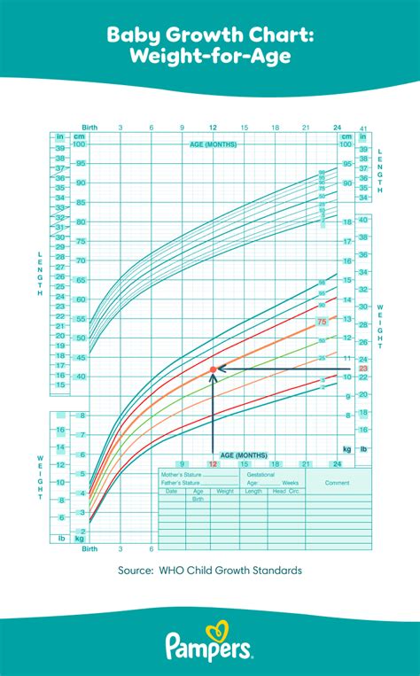 Infant Growth Chart Percentile Calculator