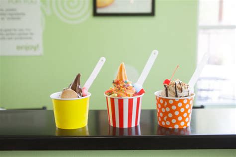 Inspiring Tales: How Ice Cream Shop Supplies Can Sweeten Your Business