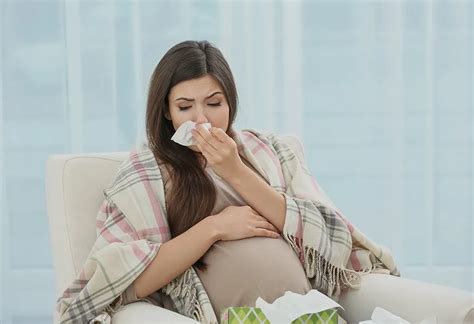 Interim Guidance--pregnant Women and Swine Influenza :. Book For Free
Get Now