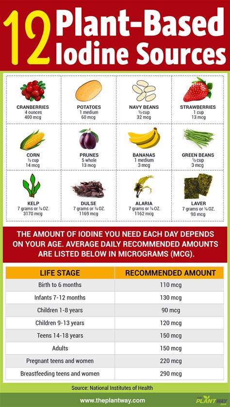 Iodine Food Chart