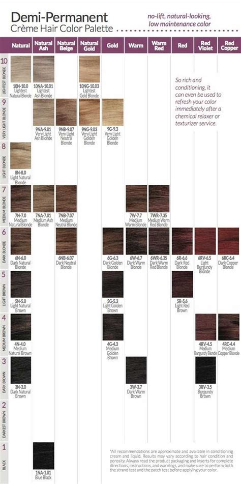 Ion Hair Dye Chart
