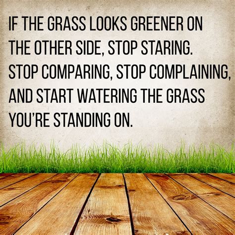 Is the Grass Really Greener on the Other Side? Exploring the Concept of Grönare Gräs
