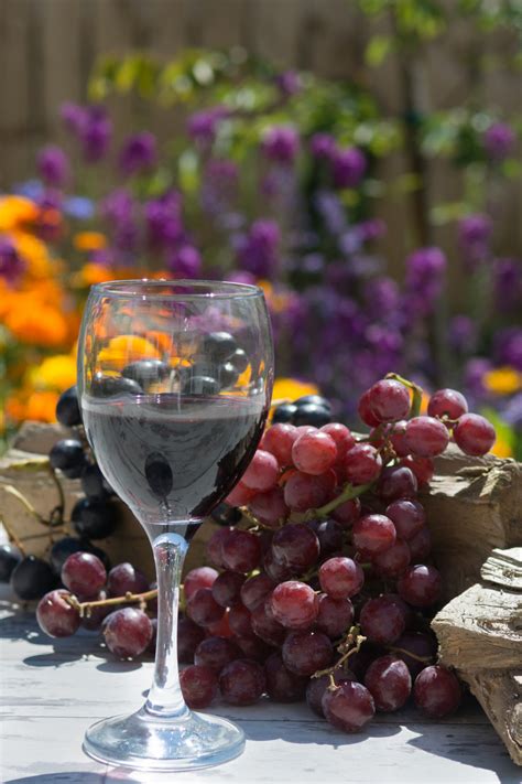 Italiensk Vin: Et Eventyr fra Drue til Glas