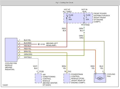 Jaguar X Type Radio Amplifier Wiring Diagram