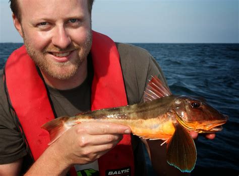 Jakten på drömfisk i Skåne