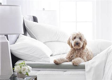 Jcpenney Catalog Customer Service