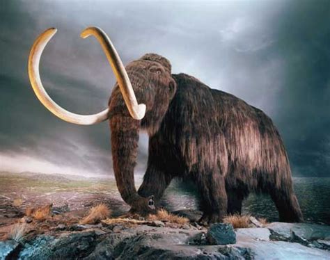 Jelajahi Dunia Hewan Prasejarah dari Zaman Es