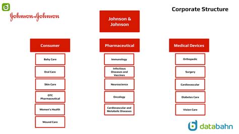 Johnson & Johnson Org Chart