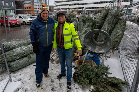 Julgransförsäljning i Malmö