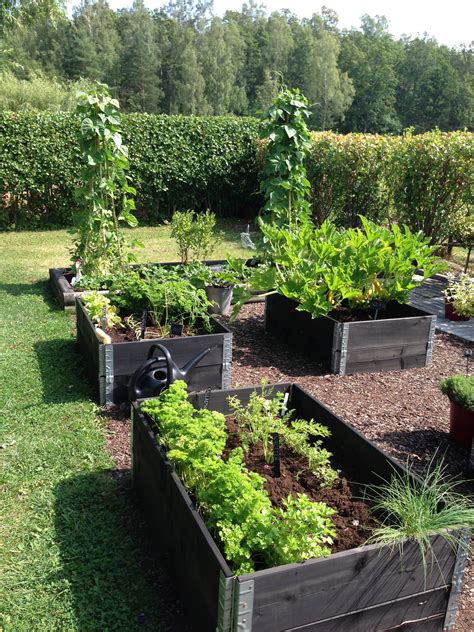 Köksträdgård Ritning: Designa din egen ätbara oas
