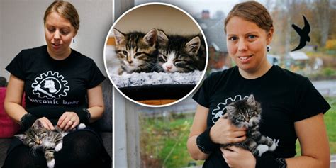 Katthem Falkenberg: En fristad för övergivna katter