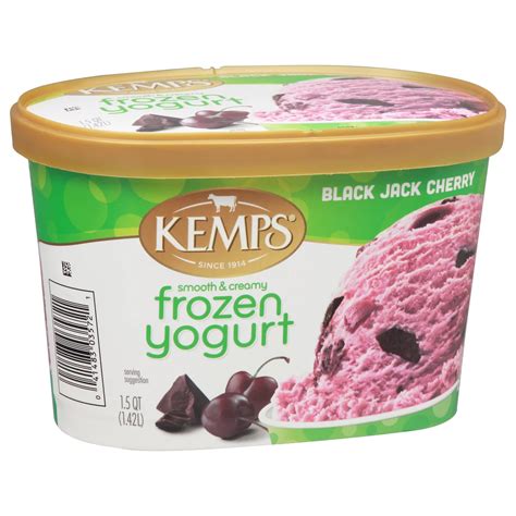 Kemps Yogurt Ice Cream: A Journey of Delight and Well-being