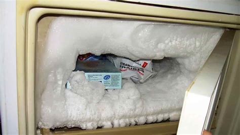 Kenapa Pembuat Es Saya Bocor Air di Dalam Freezer?