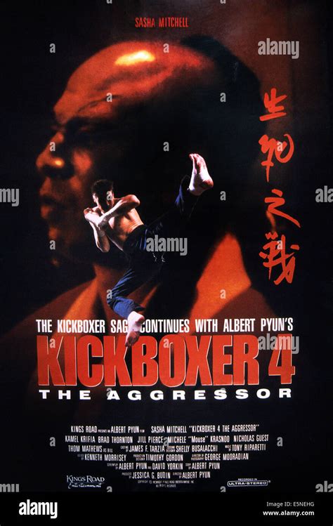 Kickboxer 4: The Aggressor