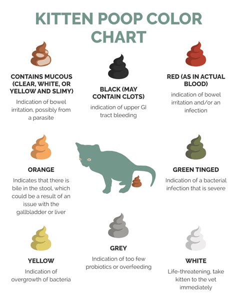 Kitten Poop Chart