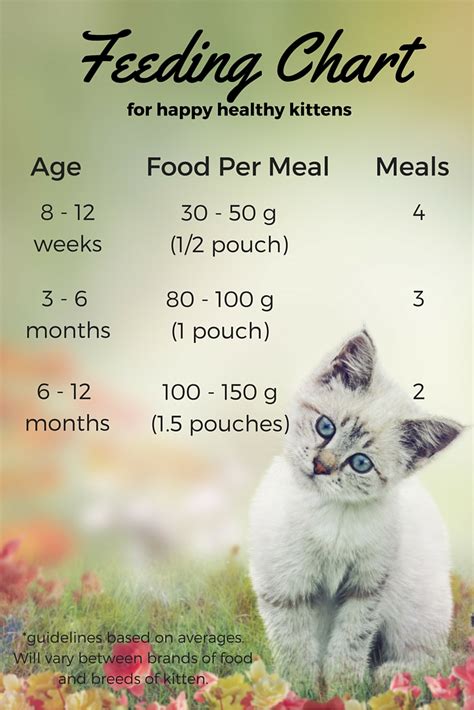 Kitten Wet Food Chart