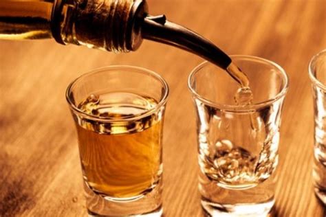 Kombucha Alkohol: Sebuah Minuman Beralkohol yang Menyehatkan