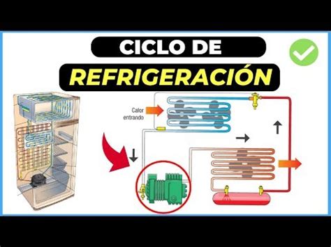Kompresor Es: Panduan Lengkap untuk Menjaga Makanan dan Minuman Anda tetap Dingin