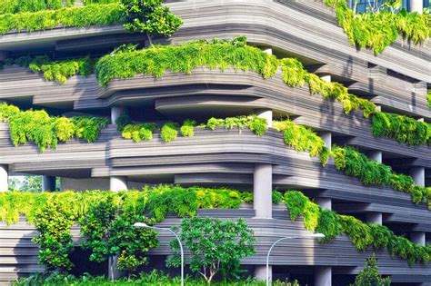 Korallsten: Kiến trúc xanh cho tương lai