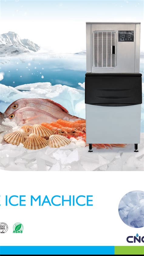 Koyo Ice Machine: A Comprehensive Guide to Enhance Your Business