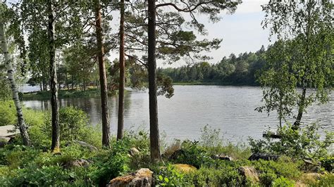 Lönns sävsjö: Ett doldt paradis i Småland