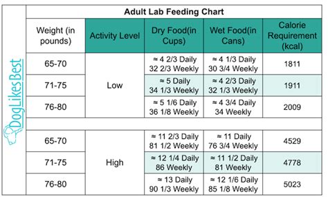 Lab Feeding Chart By Age