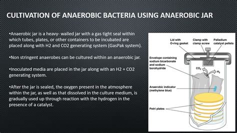 Lab Manual For Anaerobic Bacteria