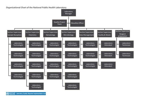 Laboratory Lab Organization Chart