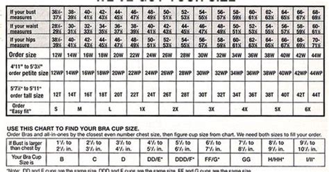 Lane Bryant Bra Size Chart