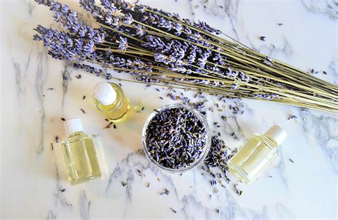 Lavendelolja Recept: Lag din egen beroligende olje hjemme
