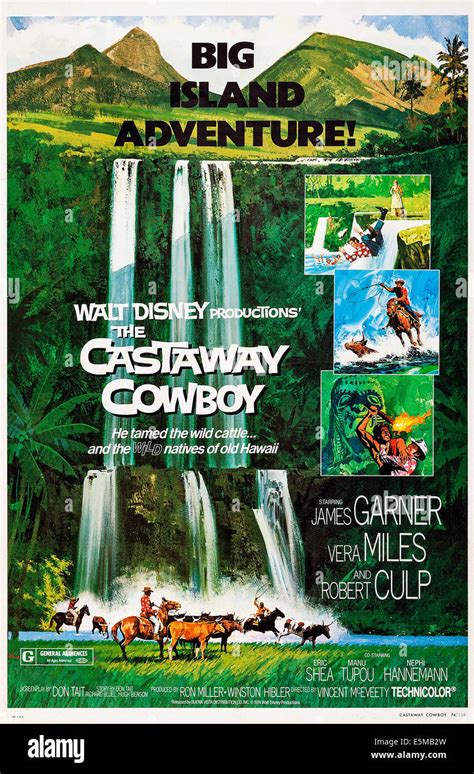 Le Cowboy Castaway