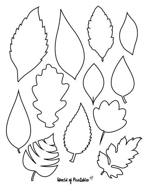 Leaf Shapes Printable
