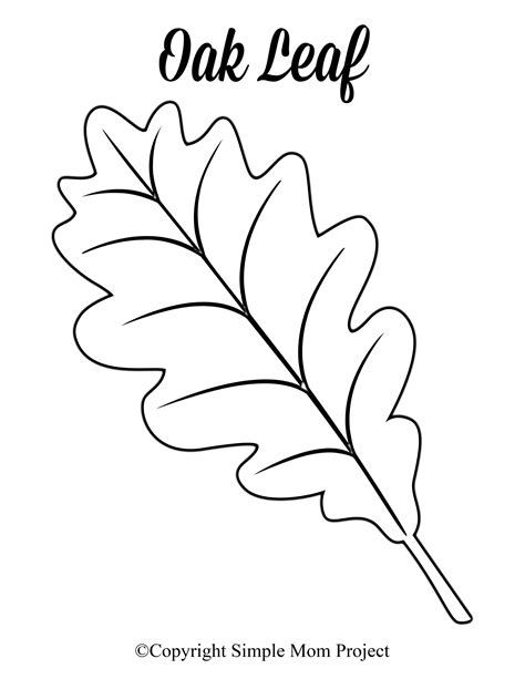 Leaves Templates To Print