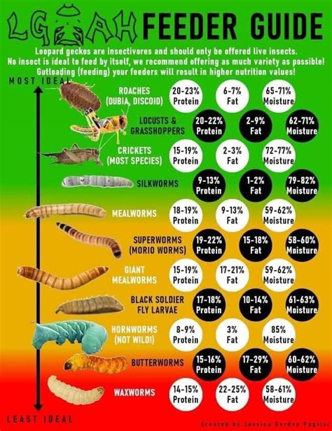 Leopard Gecko Food Chart