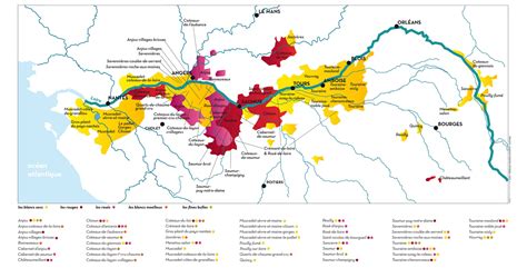 Les Vins de Loire : Un Héritage Millénaire au Savoir-Faire Exceptionnel