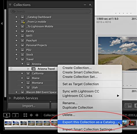 Lightroom Classic Export Catalog