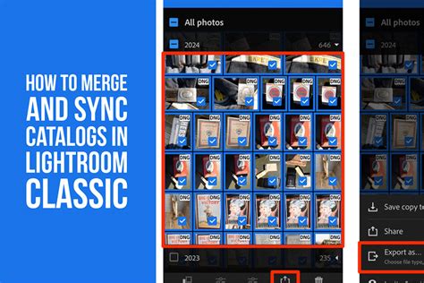 Lightroom Merge Catalogs