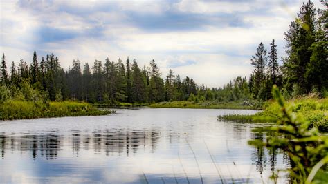 Lillholmsjö: En oas för naturälskare och friluftsentusiaster