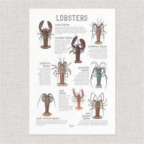 Lobster Enterprises