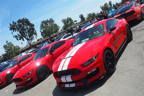 Looking For Free Catalogs For Late Model Mustangs