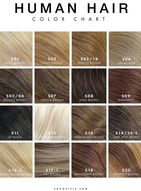 Loreal Ash Brown Hair Color Chart