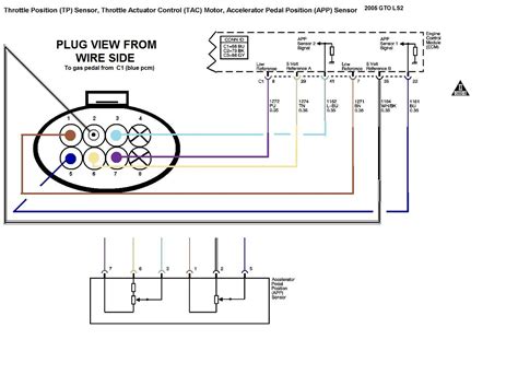 Ls2 Throttle Body Wiring Diagram