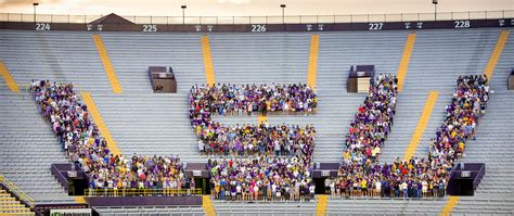 Lsu Career Opportunities