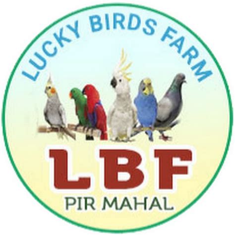 Lucky Bird Pictures