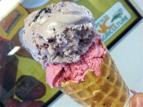 Lumpys Ice Cream: The Sweetest Way to Beat the Heat