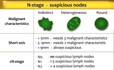 Lymph Nodes Size Chart