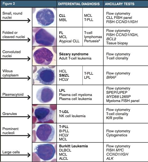 Lymphocytic Pleocytosis Manual Guide