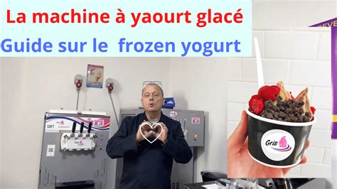 Machine à Glace: An Investment in Frozen Delights